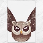 Owl Bird Feathers Canvas 24  x 36 