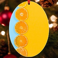 Orange, Slices, Fruit, Citrus Uv Print Acrylic Ornament Oval