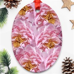 Peonies Nature Bloom Blossom Pink Ornament (oval)