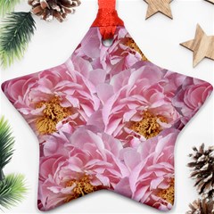 Peonies Nature Bloom Blossom Pink Ornament (star)